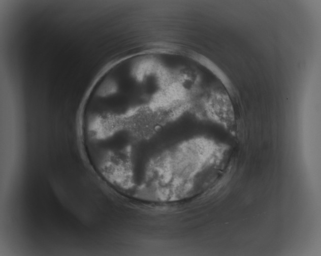 X0000100491099200807111117