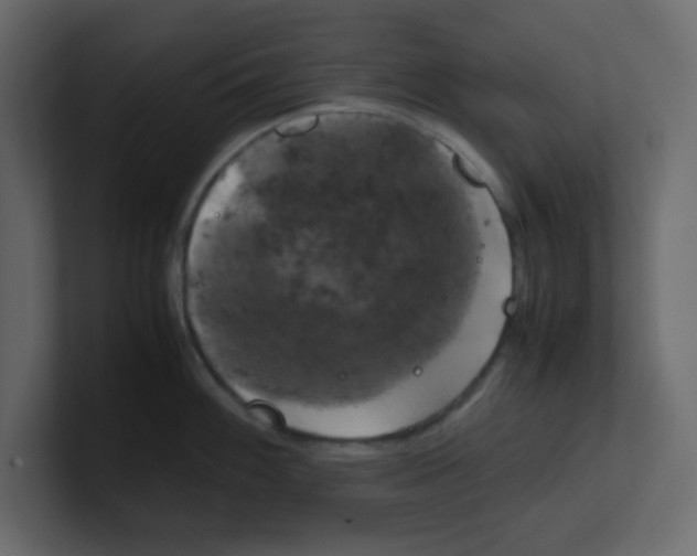 X0000100491100200807111117