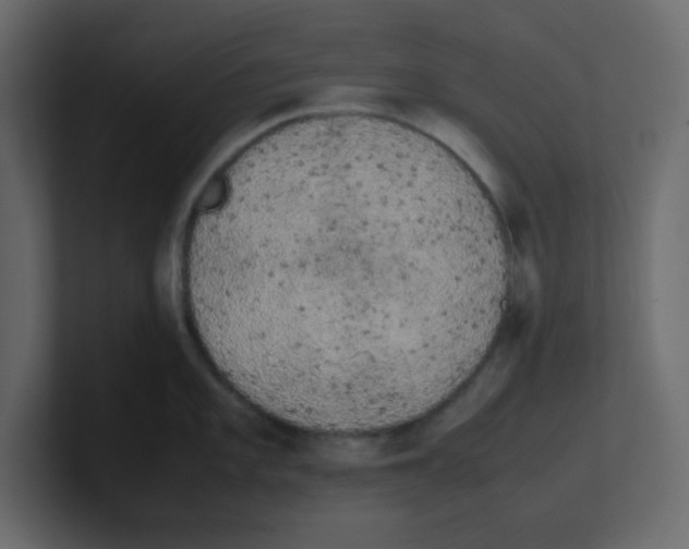 X0000100491101200807111117
