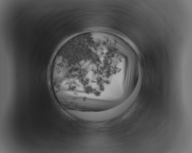 X0000100491102200807111117