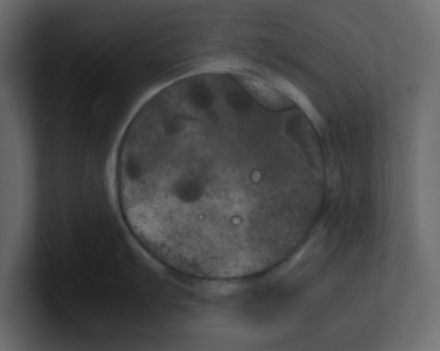X0000100491103200807111117