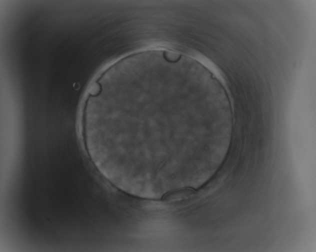 X0000100491104200807111117