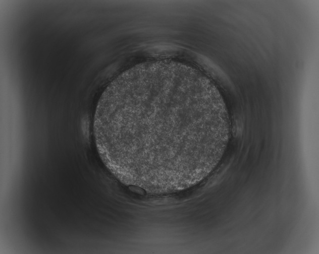 X0000100491108200807111116