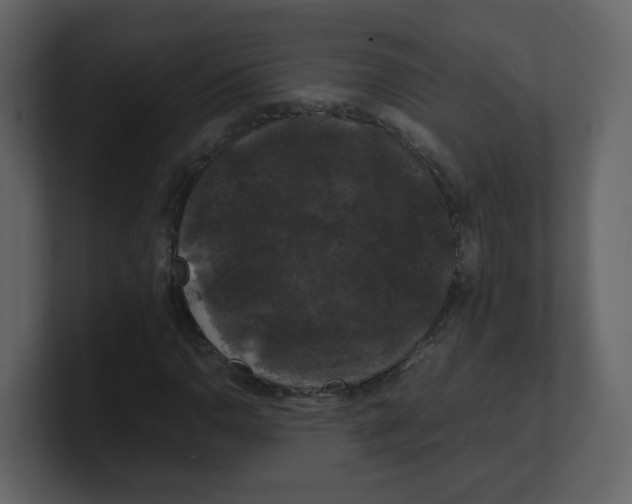 X0000100491110200807111117