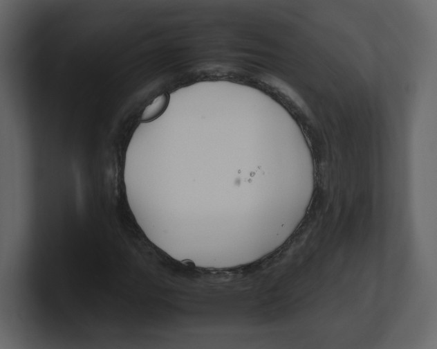 X0000100491111200807111117
