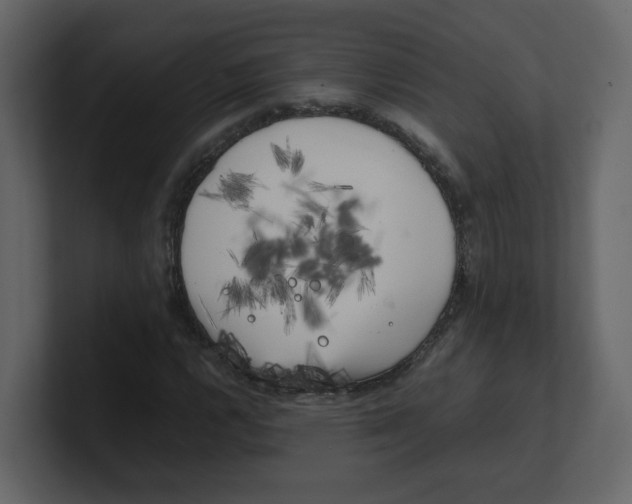 X0000100491112200807111117