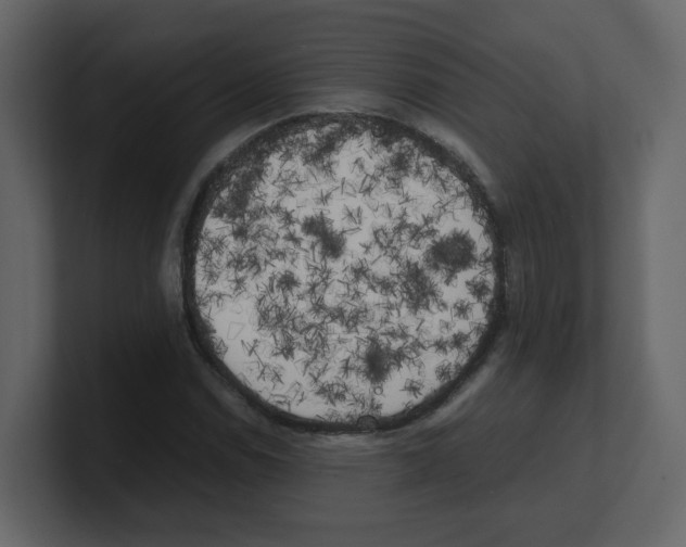 X0000100491114200807111117
