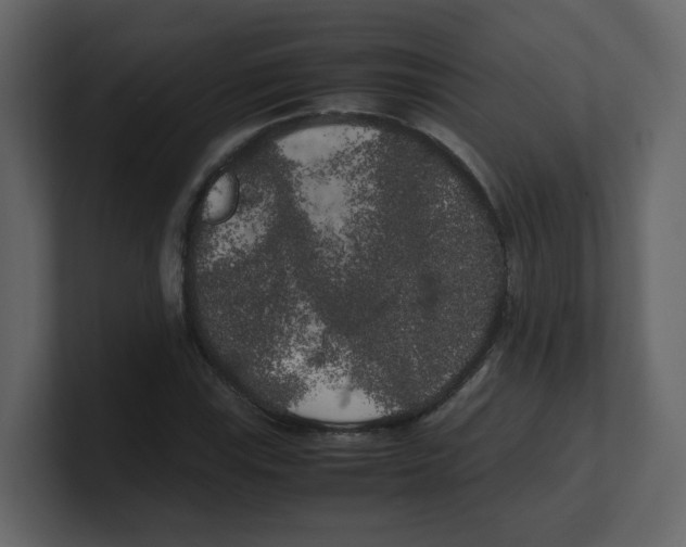 X0000100491115200807111117