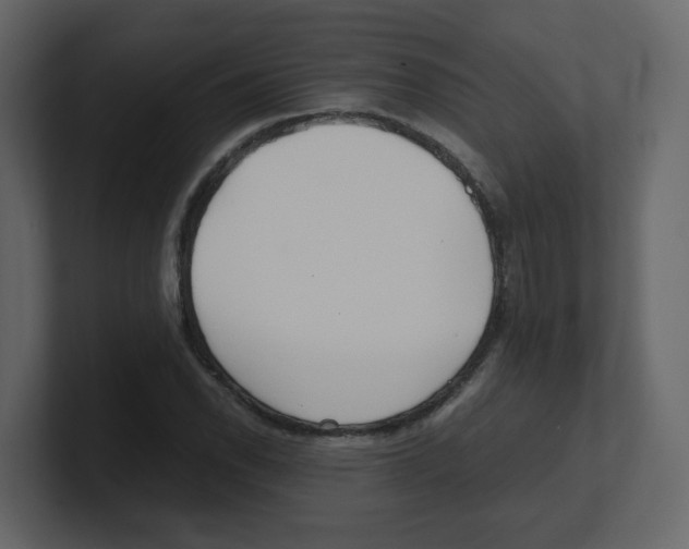 X0000100491118200807111117