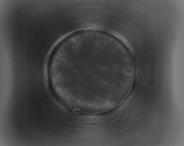 X0000100491120200807111117