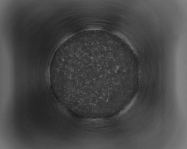 X0000100491121200807111117