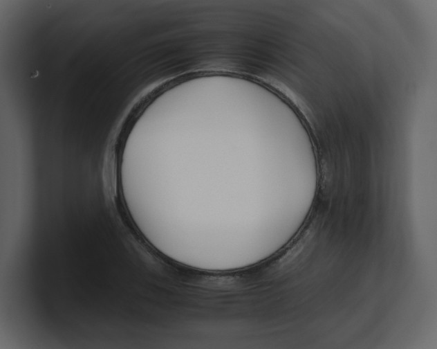 X0000100491123200807111117