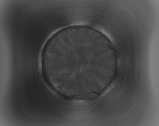 X0000100491124200807111117