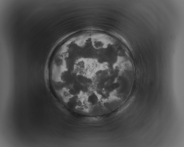 X0000100491125200807111117