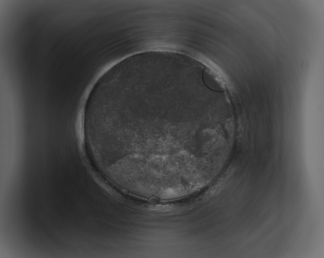 X0000100491128200807111117