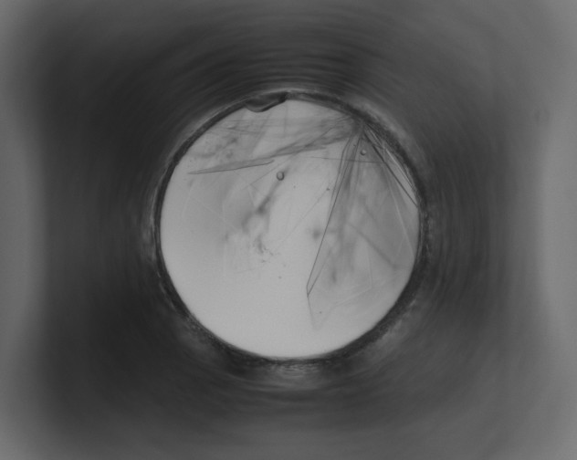 X0000100491129200807111117