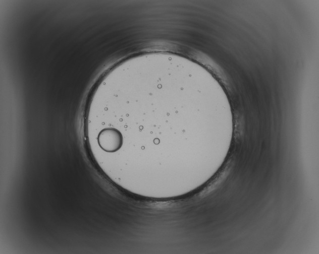 X0000100491130200807111117