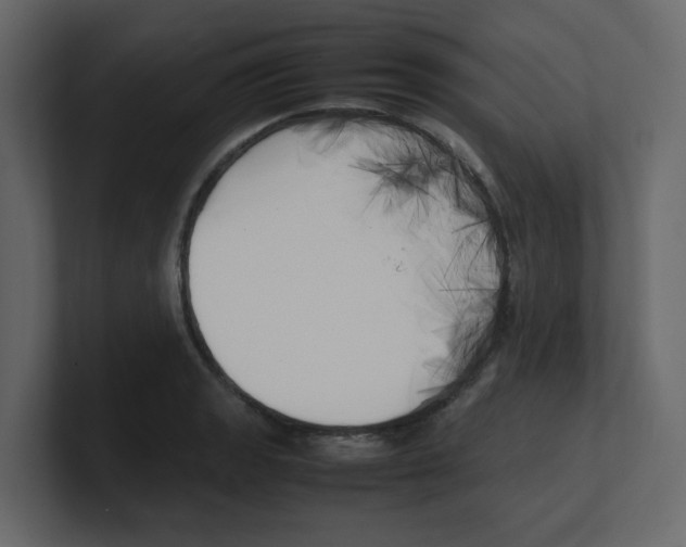 X0000100491133200807111117