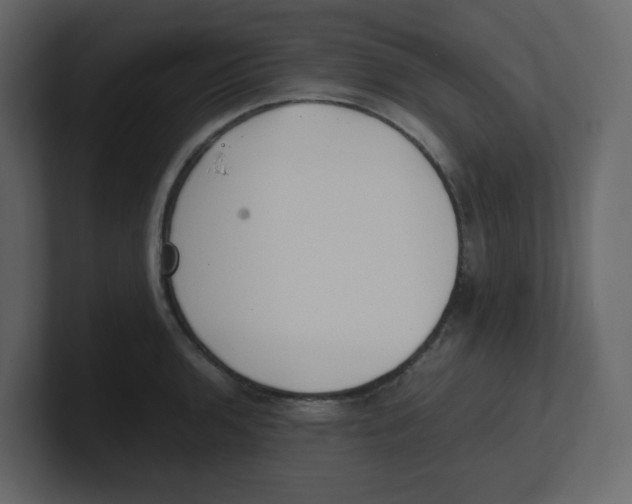 X0000100491136200807111117