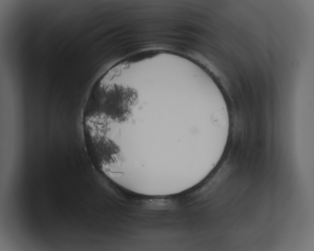 X0000100491137200807111117