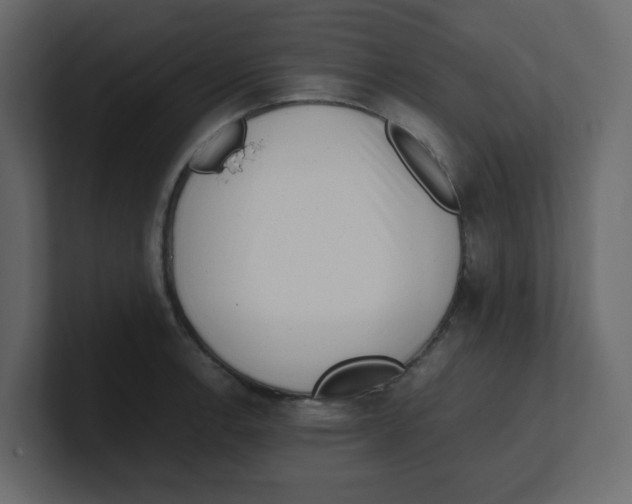 X0000100491138200807111117