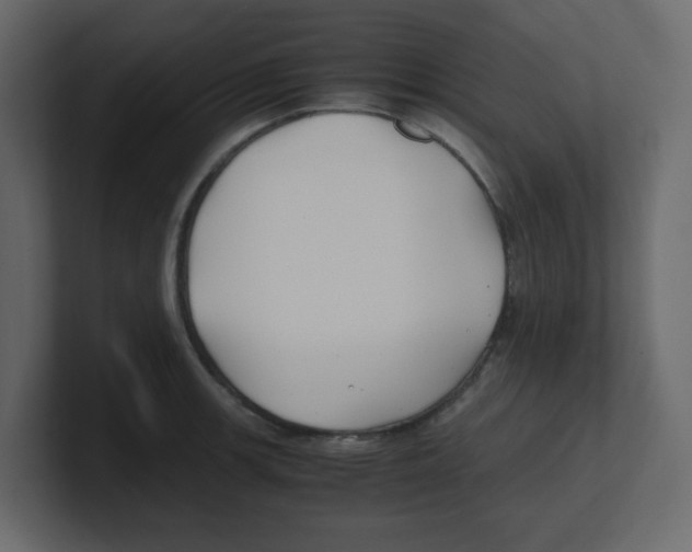 X0000100491139200807111117
