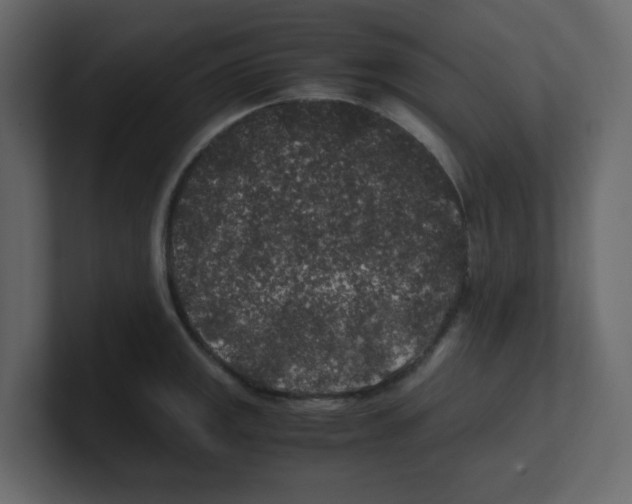 X0000100491141200807111117