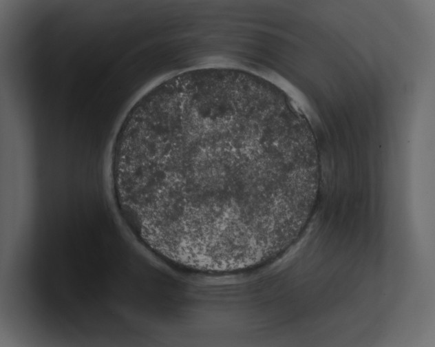 X0000100491142200807111117