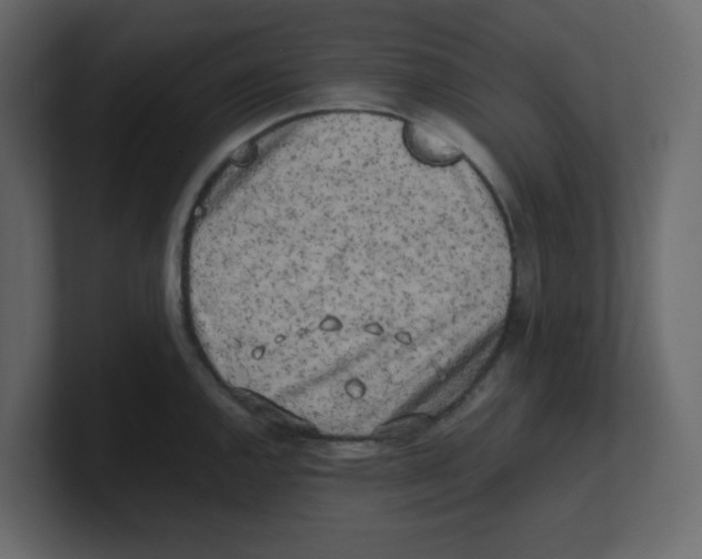 X0000100491144200807111117