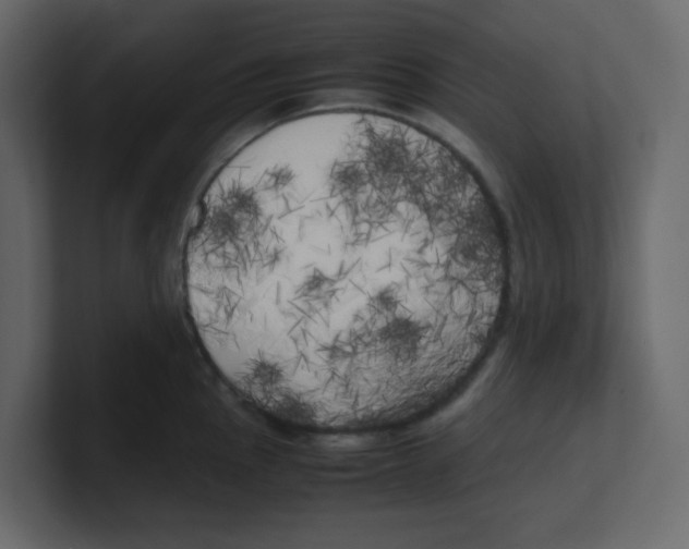X0000100491145200807111117