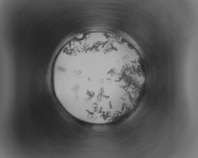 X0000100491146200807111117