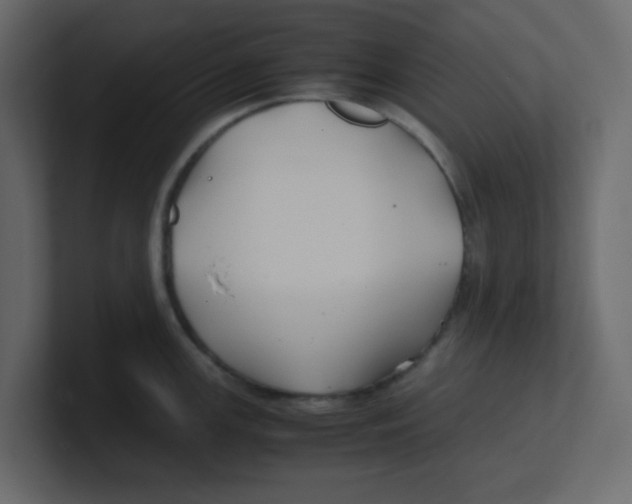 X0000100491147200807111117