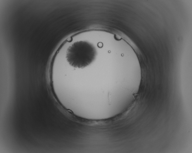 X0000100491148200807111117