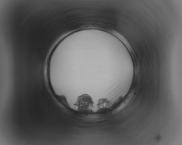 X0000100491149200807111117