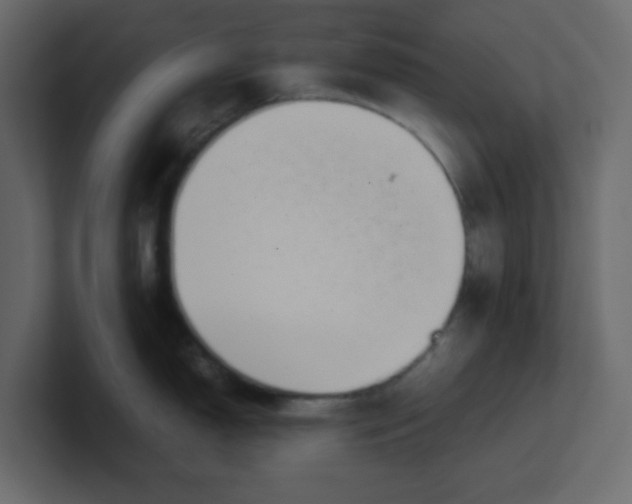 X0000100491150200807111117