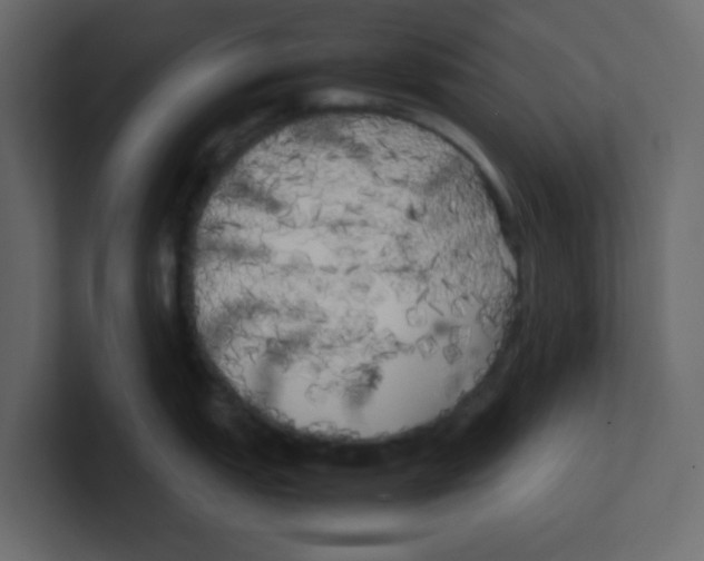 X0000100491151200807111117