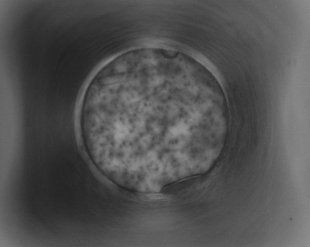 X0000100491152200807111117