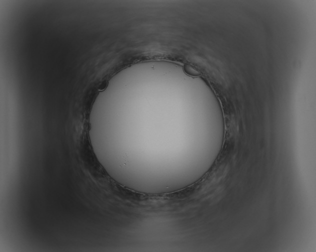 X0000100491157200807111116