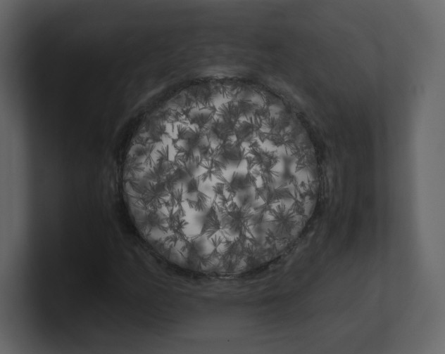 X0000100491158200807111116