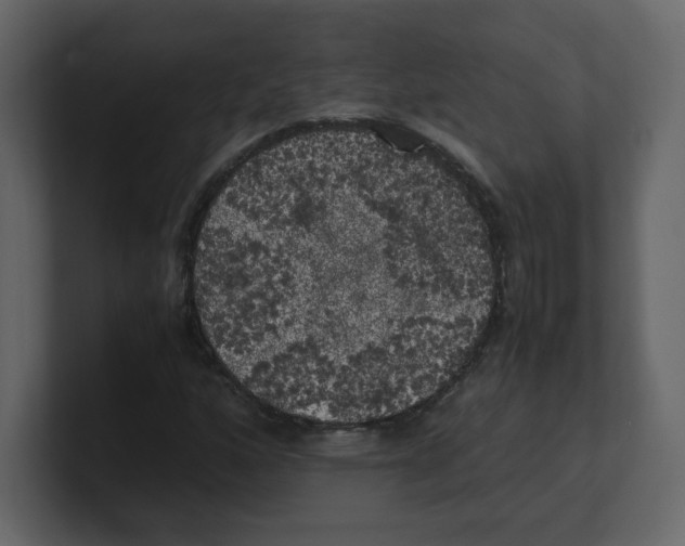 X0000100491160200807111116