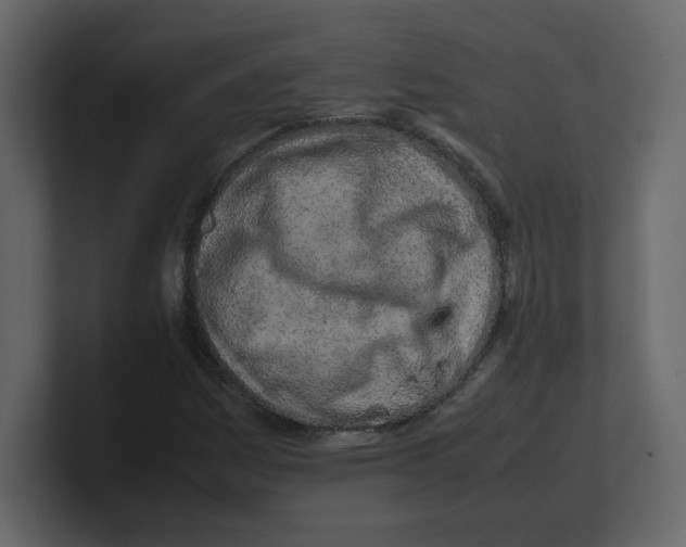 X0000100491161200807111116