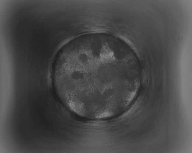 X0000100491163200807111116