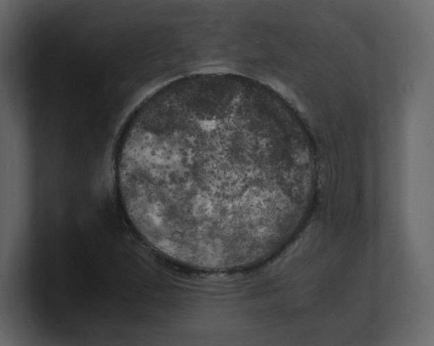 X0000100491167200807111116