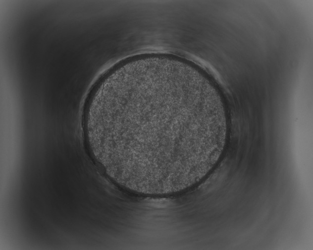 X0000100491168200807111116