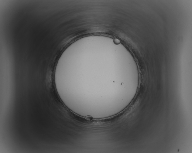 X0000100491169200807111116