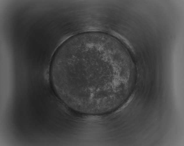 X0000100491170200807111116