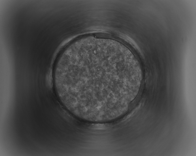 X0000100491172200807111116