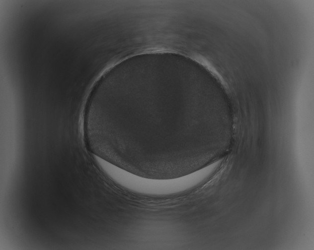 X0000100491173200807111116