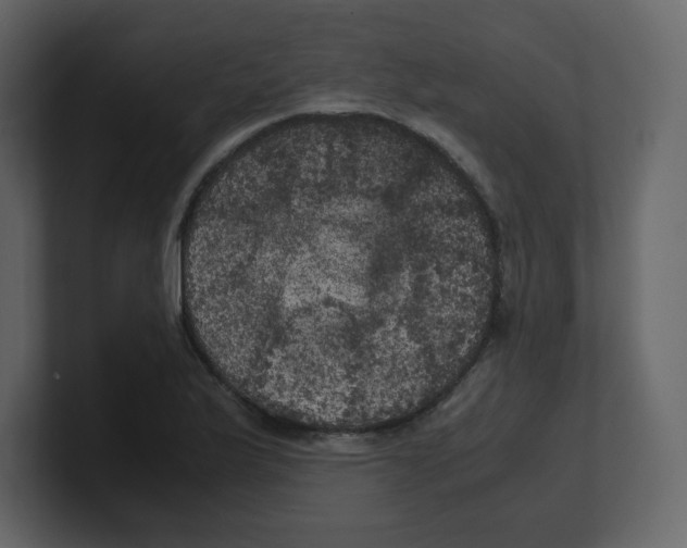 X0000100491175200807111116