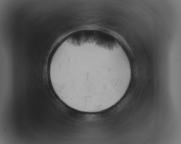 X0000100491176200807111116